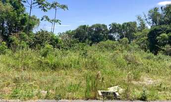 Imagem 6: TERRENO PRÓXIMO DA LAGOA