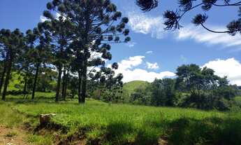 Imagem 3: Fazenda/Sítio/Chácara para venda em Sapucaí Mirim