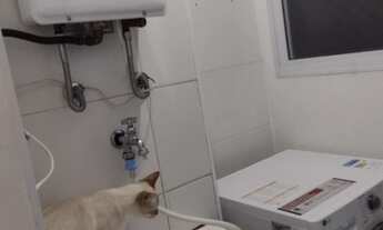 Imagem 7: Apartamento para venda tem 56 metros quadrados com 2 quartos em Vila Andrade - São Paulo