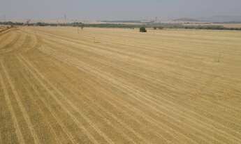 Imagem: 105 alqueires em Santa Rita do Novo Destino