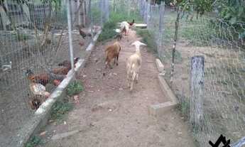 Imagem 4: Chácara a venda em Cocalzinho Condomínio Parque das Águas com area de lazer...