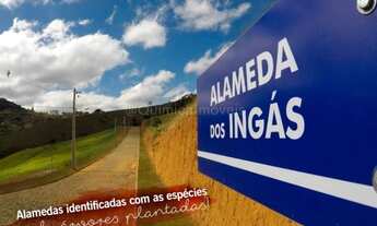 Imagem 4: Terreno para Venda em Juiz de Fora, Salvaterra