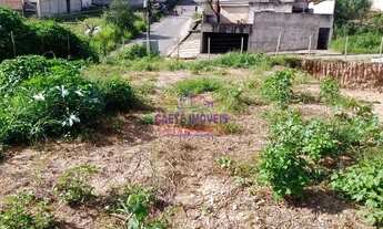 Imagem 6: EXCELENTE LOTE PLANO