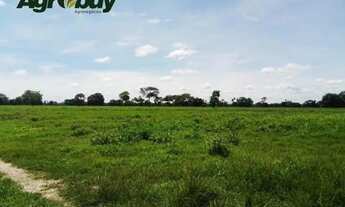 Imagem 7: Fazenda em Tocantins