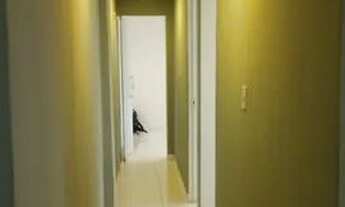 Imagem 5: Alugo apartamento residencial na Trindade - Sg