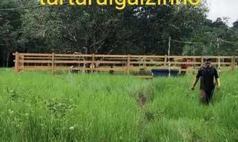 Imagem: Vendo chácara em tartaurugalzinho