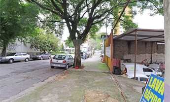 Imagem 2: São Paulo - Terreno Padrão - VILA ROMANA