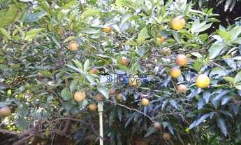 Imagem 3: Casa com 2 dormitórios à venda, 250 m² por R$ 950.000,00 - Vila Anglo Brasileira - São Pau