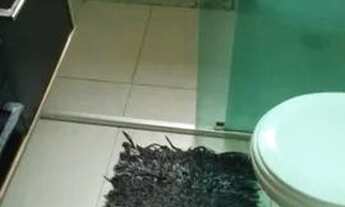 Imagem 6: Alugo suite na regiao do rio pequeno