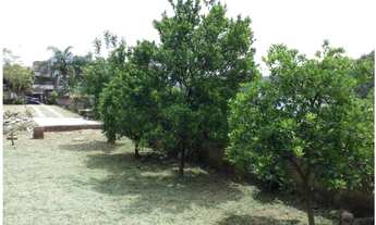 Imagem 6: Lindo terreno plano de 585m2 em Novo Hamburgo ~ 1 km da Universidade Feevale!