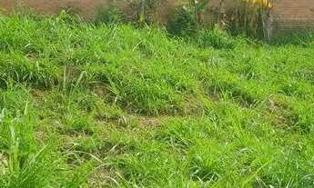 Imagem 4: SOUSAS - Terreno Padrão - San Conrado