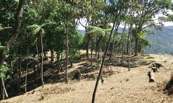 Imagem 5: Lindo terreno Santo Amaro Imperatriz - Escritura pública