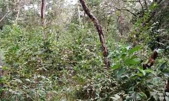 Imagem 3: Terreno 65.000m², as margens do Rio das Velhas, Jaboticatubas