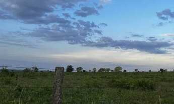 Imagem 7: Fazenda 840 Hecteares Rio na Divisa