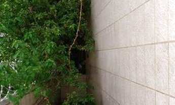 Imagem 7: Sobrado com 14 dorms, Vila Mariana, São Paulo - R$ 6.000.000,00, 750m² - Codigo: 1252