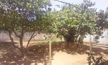 Imagem 4: Casa para venda tem 188 metros quadrados com 3 quartos em Jardim Presidente - Goiânia - GO