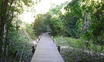 Imagem 6: Excelente oportunidade! Lote no Alphaville por apenas 99 mil. Rio das Ostras