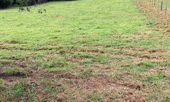 Imagem: Chácara de 3 mil metros só de terra a