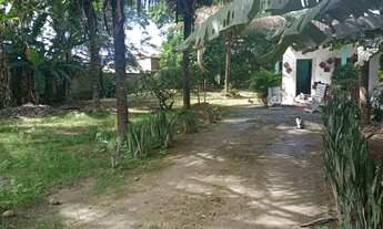 Imagem 7: Chácara Para Aluguel Na Cidade universitária