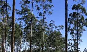 Imagem: EF - Pesque à Vontade Terreno para Chácara