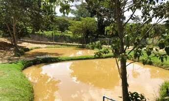 Imagem 6: Fazendinha 3.3ha, com lagoa, dois poço de peixe, água por gravidade com grande volume