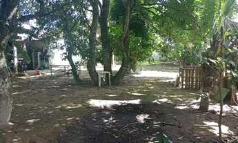 Imagem 2: Chácara Para Aluguel Na Cidade universitária