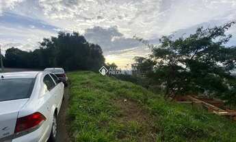 Imagem 3: CAMPO BOM - Terreno Padrão - Bela Vista