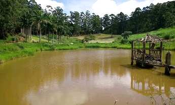Imagem 5: Fazenda maravilhosa no sul do Espírito Santo