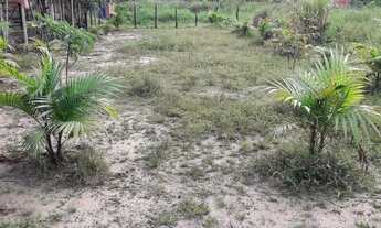 Imagem 4: Terreno em Santa Isabel do Pará