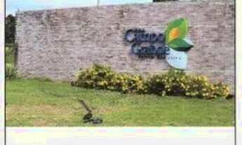 Imagem 3: LIMOEIRO - Casa Padrão