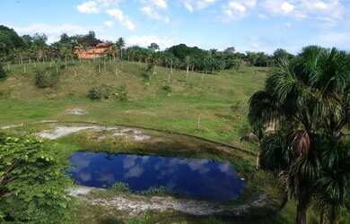 Imagem 7: Oportunidade Única! Chácara / Sítio / Balneário à Venda na BR-174 - Km 30