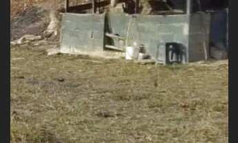 Imagem 2: Fazendinha Produtiva !!!Aceita caminhão ,Veículo,chácara ,imóvel urbano.