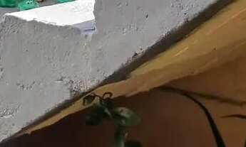 Imagem 3: Sobrado 3 dormitórios à venda Guaratiba Rio de Janeiro/RJ