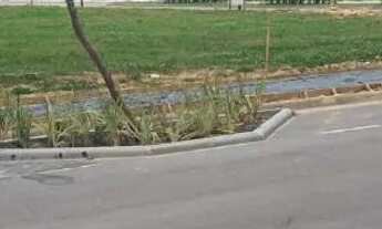 Imagem 4: TERRENO NO VIVAPARK