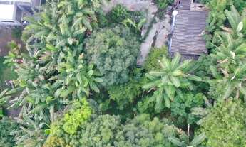 Imagem 6: Arniqueira - Lote grande