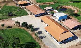 Imagem: Vendo Fazenda em Alexânia 11,3 Alqueires