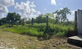 Imagem 2: Vendo Terreno em Marechal Totalmente Documentado