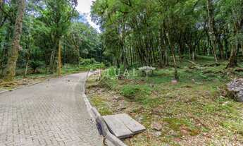 Imagem 3: TERRENO CONDOMÍNIO PINHEIRO GROSSO