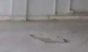 Imagem 2: PRÉDIO - TATUAPÉ - SP