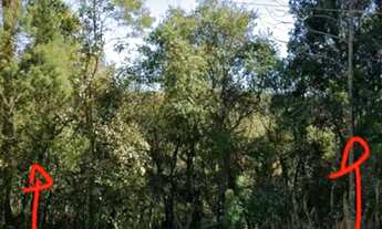 Imagem 4: Vendo terreno Terreno / lote com venda por R$15.000