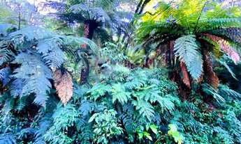 Imagem 6: A venda terreno de 7.620m², localizado em Canela