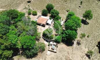 Imagem 5: Hidrolândia - Chácara de 3 Alqueires codigo: 152378