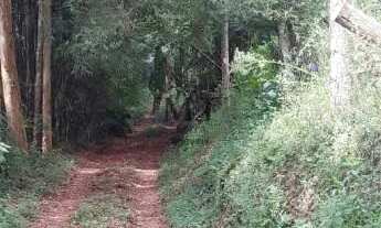 Imagem 2: Sítio bairro São Jacó, Nova Petrópolis.RS Ref.:159