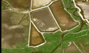 Imagem 2: Vendo Ilha no São Francisco - Próximo a Piaçabuçu