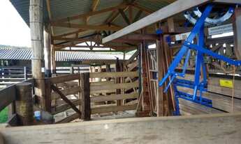 Imagem 2: Fazenda a venda em Ipameri - Goiás!!!