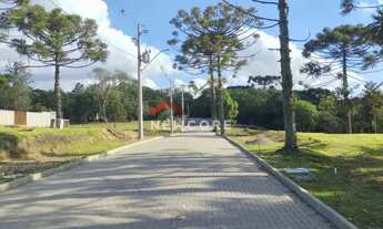 Imagem 3: Lote em Rua Leopoldo Stahnke - São Bernardo - São Francisco de Paula/RS