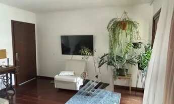 Imagem 5: CAXIAS DO SUL - Apartamento Padrão - LOURDES