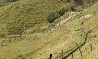 Imagem 4: AREA - JARDIM PINHEIRINHO - SP