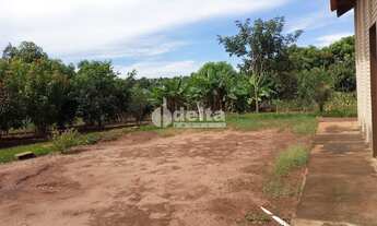 Imagem 7: Chácara Residencial disponível para Venda no bairro Área Rural em Uberlândia-MG