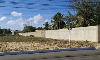 Imagem 7: Terreno em frente a praia de Aruana